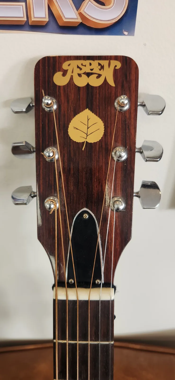 Aspen Guitar AD28 w/case & strap, photo 3