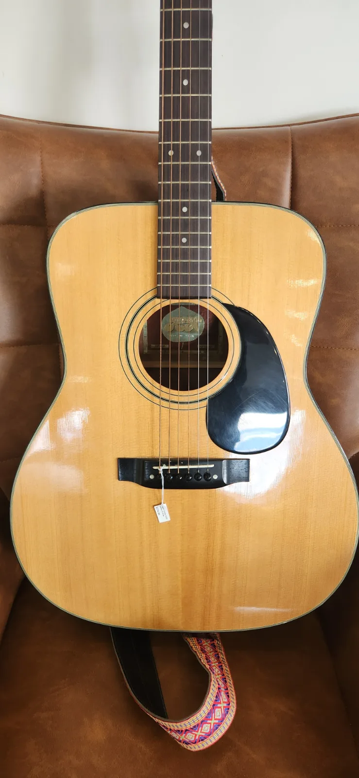 Aspen Guitar AD28 w/case & strap, photo 2