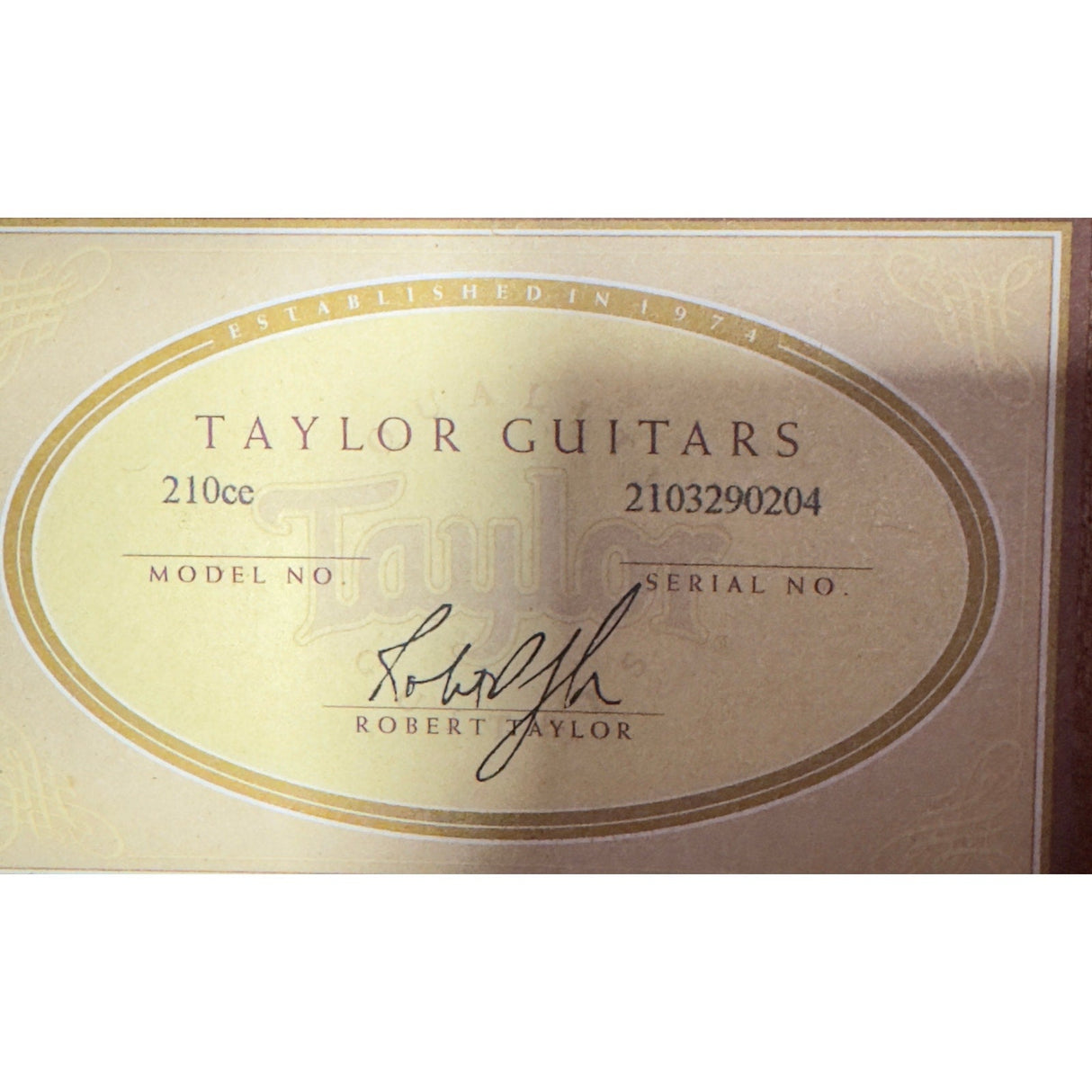 TAYLOR GUITARS 210CE GUITAR - Idaho Pawn & Gold